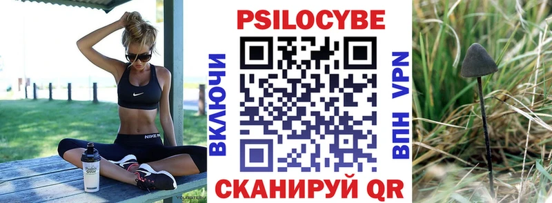 продажа наркотиков Афипский даркнет формула Галлюциногенные грибы Magic Shrooms